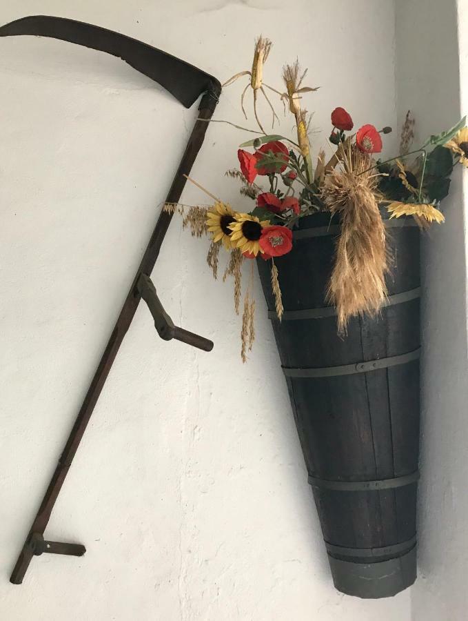 Maison Dietenbeck Wissembourg Eksteriør billede
